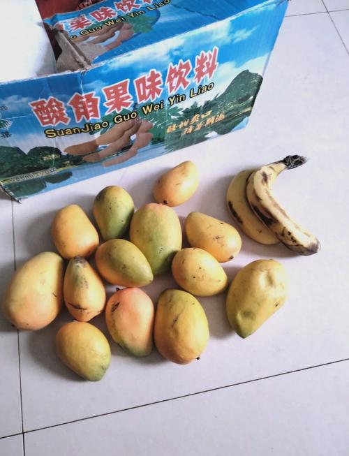 芒果怎么样熟的快（芒果怎么才能熟得快一点）